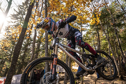 Countercycle Tuned Mass Damper