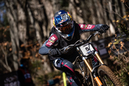 Countercycle Tuned Mass Damper